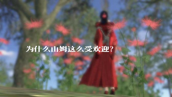 为什么山姆这么受欢迎？